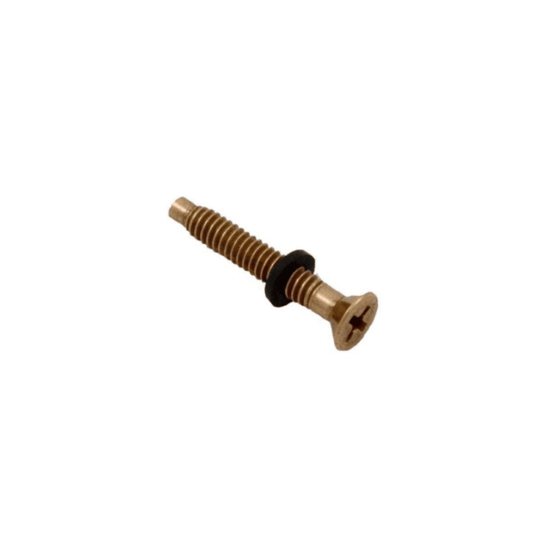 Pentair 79104800 Brass Pilot Screw with Captive Gum Washer